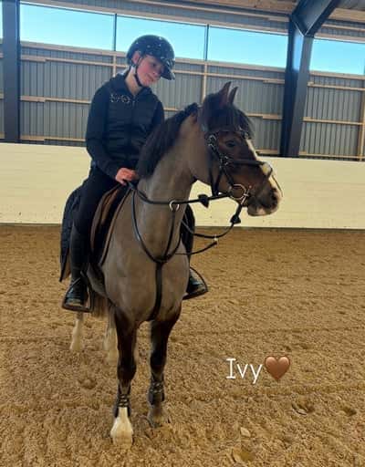 Inlägg 18 av Dressyr med titeln Hoppträning