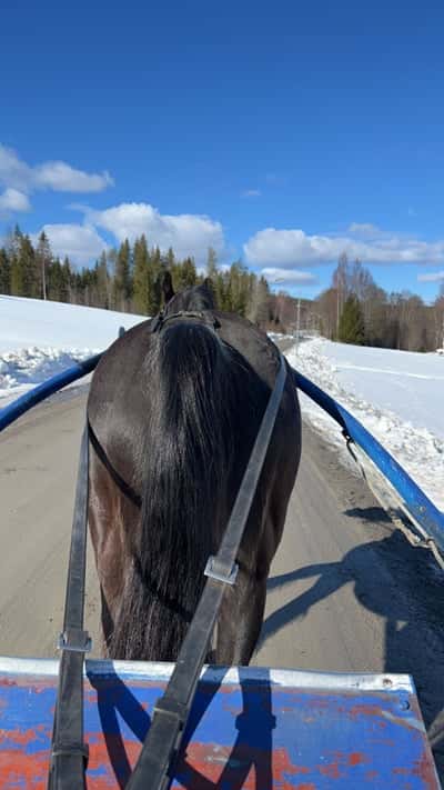 Inlägg 18 av Sportkörning