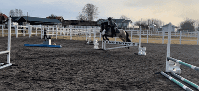 Inlägg 44 av Allround