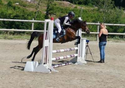 Inlägg 16 av Dansk Sportponny med titeln Tävling🌟