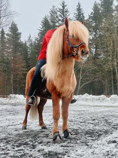 Inlägg 39 av Island med titeln ♥️🤍