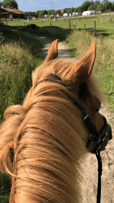 Inlägg 49 av Allround