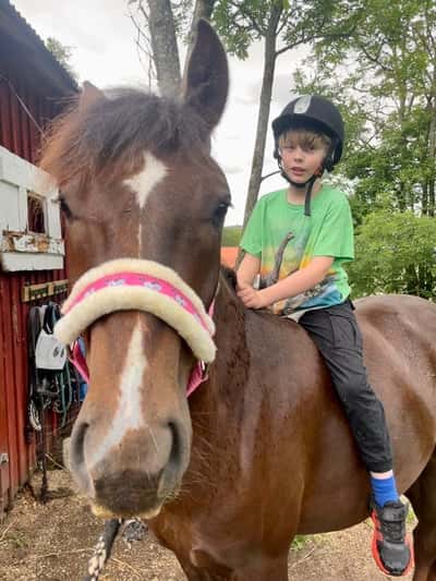 Inlägg 13 av Allround med titeln ❤️❤️