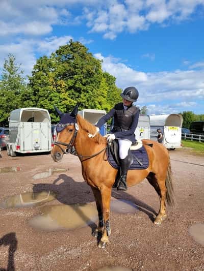 Post 473 of Show jumping