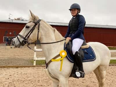 Post 349 of Show jumping with title Första felfria LC 3a placering 