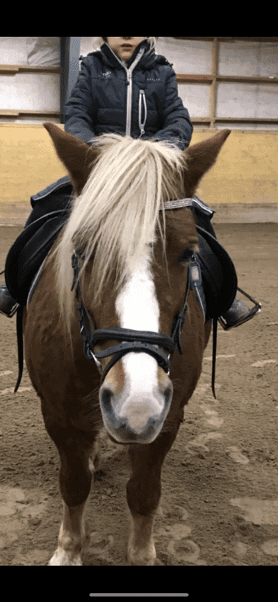 Inlägg 6 av Ardenner med titeln Erika år 2016❤️