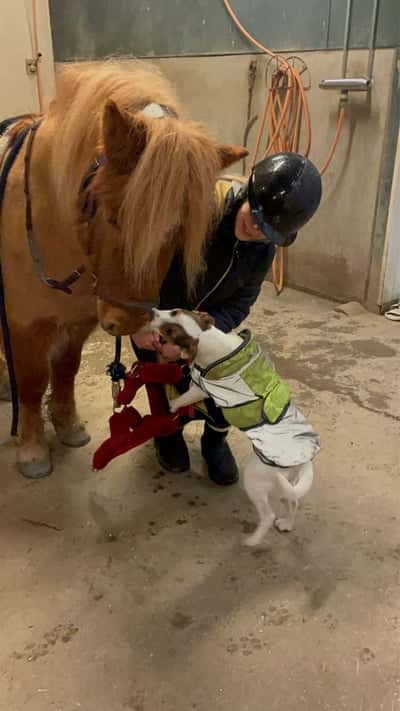 Inlägg 3 av Allround med titeln Pixi och Tin Tin