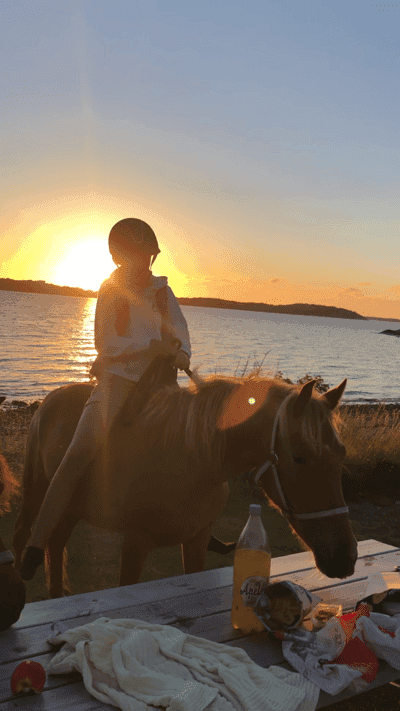 Inlägg 18 av Allround