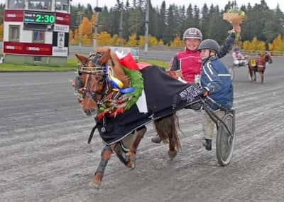 Inlägg 119 av Ponnytrav med titeln DPK’s ponnytravgala 