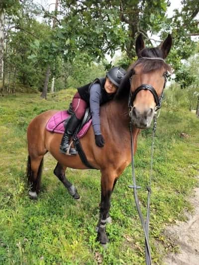 Inlägg 130 av Allround med titeln ❤️IDOR❤️