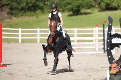 Post 177 of Show jumping