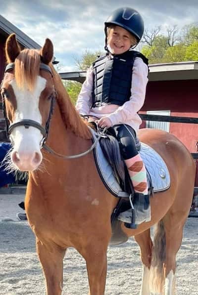 Inlägg 1 av Welsh Cob med titeln Diego flyttade till sin nya familj ❤️