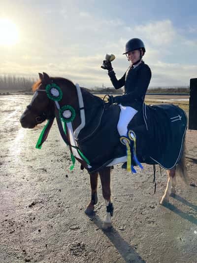 Post 124 of Show jumping