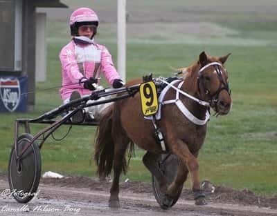 Inlägg 18 av Ponnytrav med titeln Säsongsavslutning Mantorp!