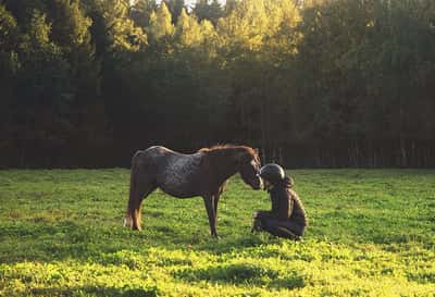 Inlägg 23 av Welsh Mountain med titeln Sommardagar 
