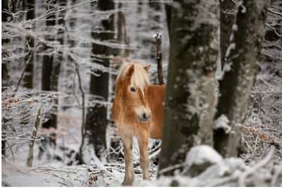 Inlägg 138 av Allround med titeln lilja✨