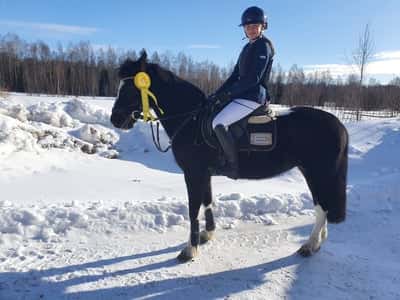 Post 86 of Show jumping with title Luleå Ridklubb 