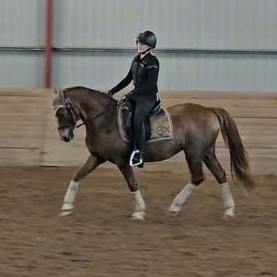 Alslyckas B Witch Saga