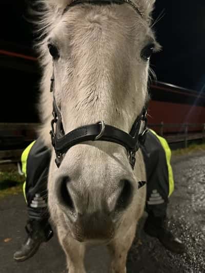 Inlägg 42 av Island med titeln Barbacka😍😍