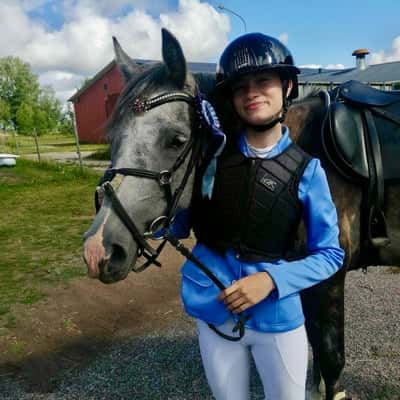 Post 90 of Show jumping with title Hopptävling 