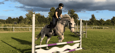 Inlägg 19 av Allround