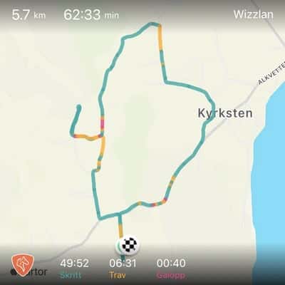 Inlägg 22 av Quarterhäst med titeln Uteritt