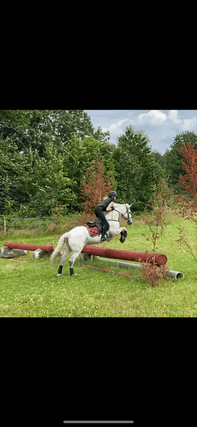 Inlägg 61 av Fälttävlan med titeln Första terräng träningen!