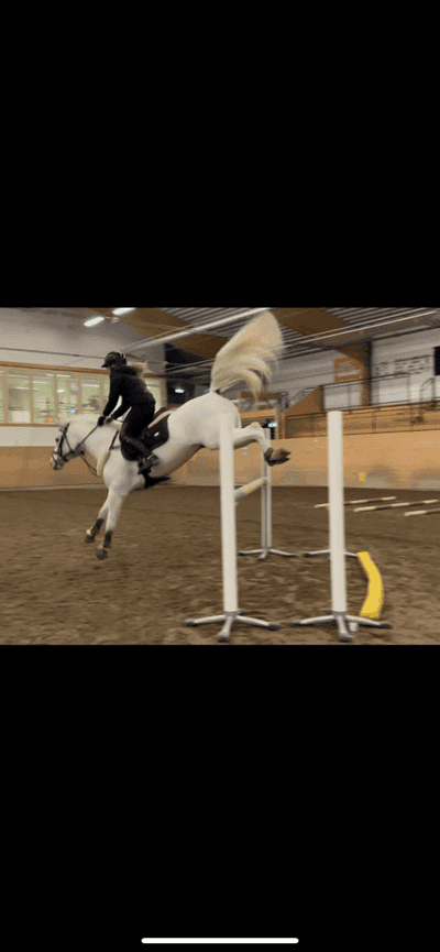 Inlägg 68 av Allround