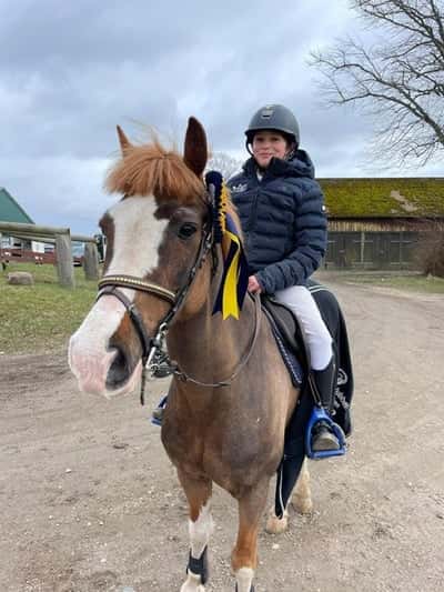 Post 232 of Show jumping with title Adam och Jacko vinner sin första tävling! 