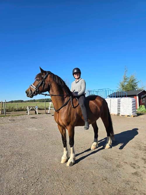 Bild av Älskade Jacken - söker kärleksfullt och tryggt hem med kunskap och tid