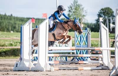 Inlägg 101 av Allround