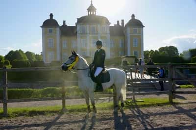 Post 284 of Show jumping with title Lag SM