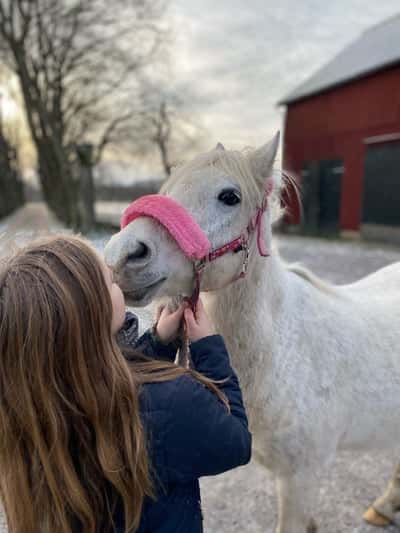 Inlägg 180 av Allround med titeln Älskde Snow ❤️
