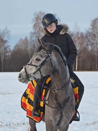 Inlägg 51 av Allround med titeln Snögalopo