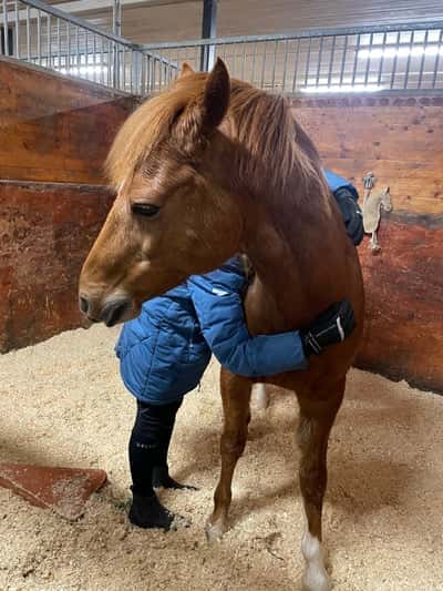 Inlägg 40 av Allround