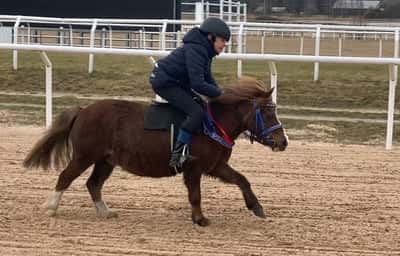 Inlägg 9 av Ponnygalopp med titeln Kval