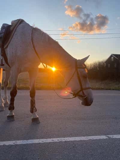 Inlägg 102 av Allround