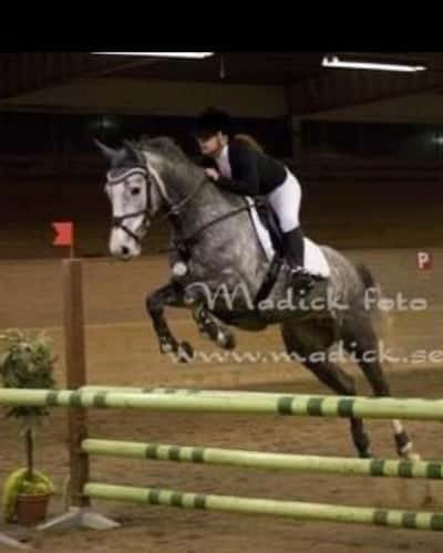 Inlägg 47 av Allround med titeln Esperi