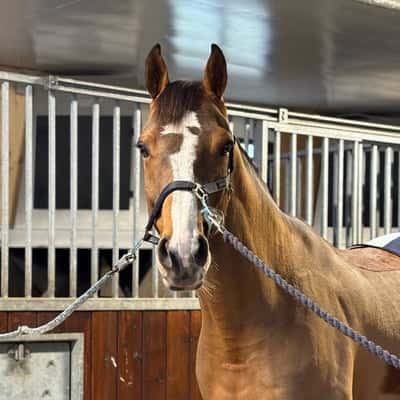 Uno af Östra Hult LVST