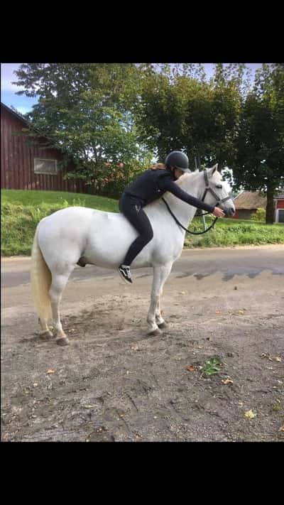 Inlägg 32 av Allround