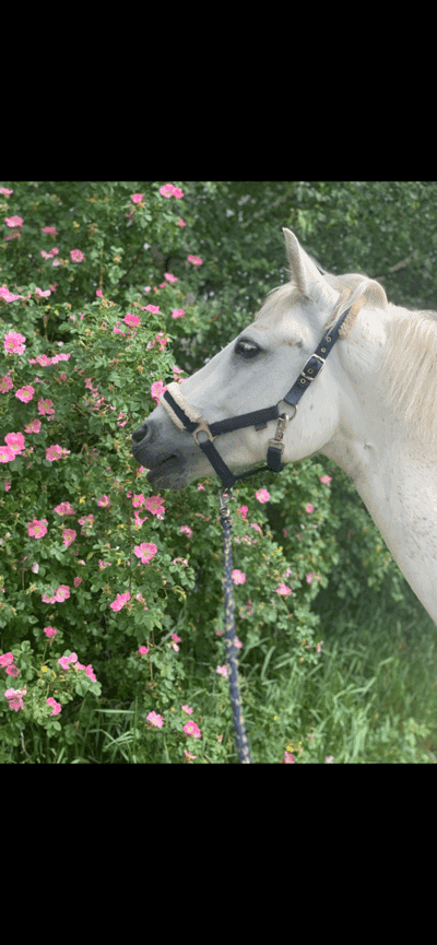 Inlägg 142 av Allround