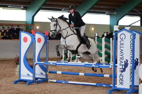 Bild av Piggt D ponny sto