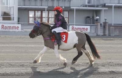 Inlägg 12 av Monté med titeln Monte