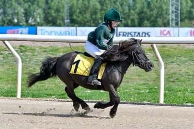 Inlägg 18 av Galopp med titeln Fannys första vinst🥳