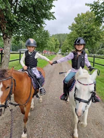 Inlägg 3 av Allround