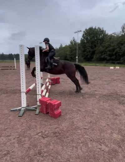 Inlägg 104 av Allround med titeln Bästa hoppet ever