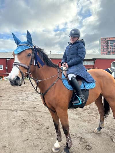 Post 155 of Show jumping with title Tävling i Lund 15/10!