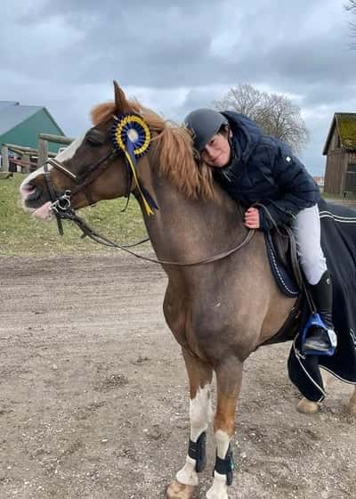 Inlägg 65 av Allround med titeln Vinst i lätt A för Adam och finaste Jacko ⭐️