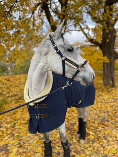 Inlägg 94 av Allround