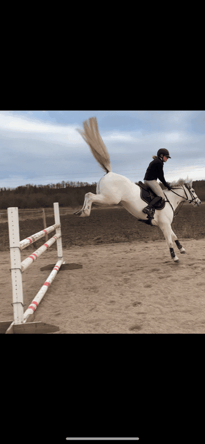 Inlägg 65 av Allround